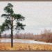 Гатчина, Приоратский парк, Филькино озеро, 1 января 2014, фотограф Алексей Шехин