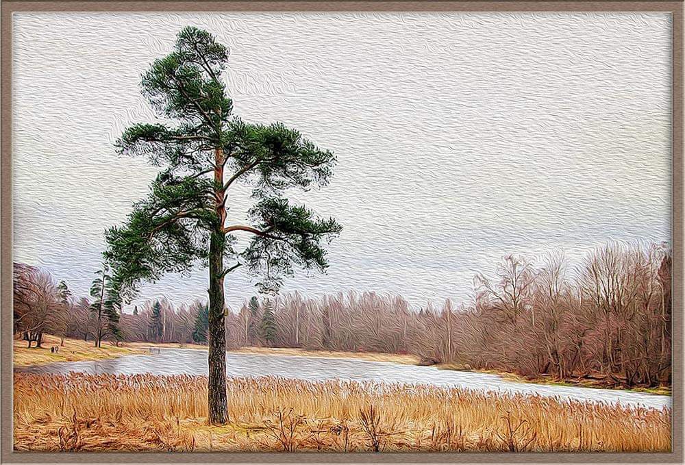 Гатчина, Приоратский парк, Филькино озеро, 1 января 2014, фотограф Алексей Шехин