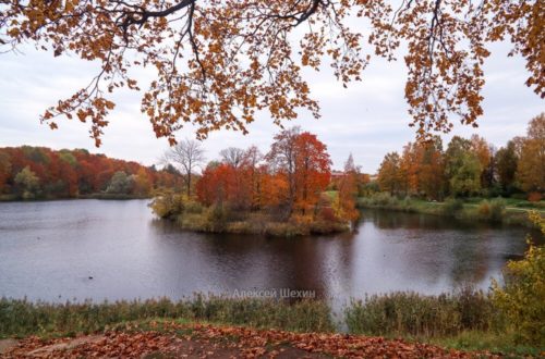 Осень на Черном озере Приоратского парка