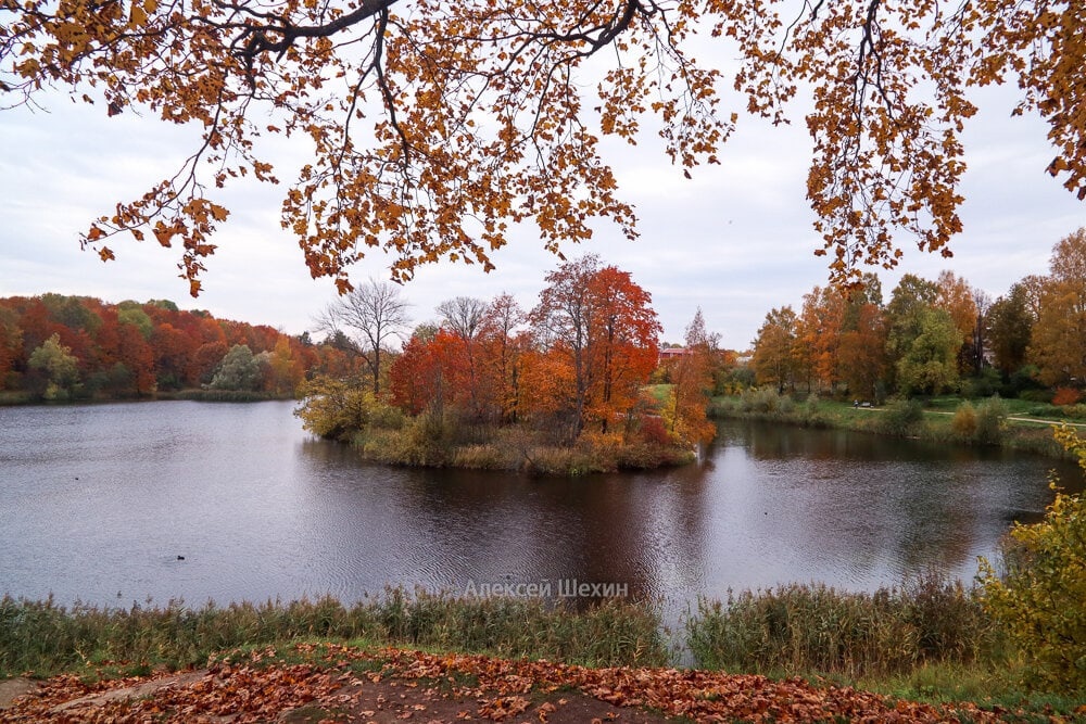 Осень на Черном озере Приоратского парка